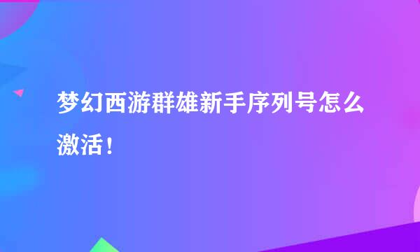 梦幻西游群雄新手序列号怎么激活！