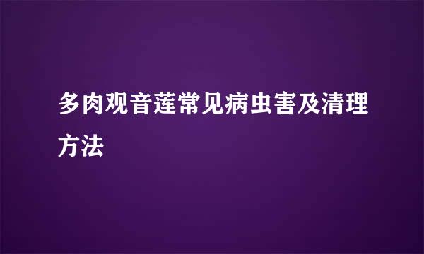 多肉观音莲常见病虫害及清理方法