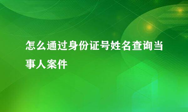 怎么通过身份证号姓名查询当事人案件