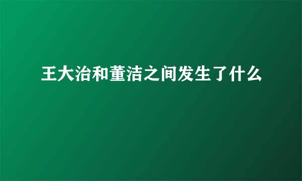 王大治和董洁之间发生了什么