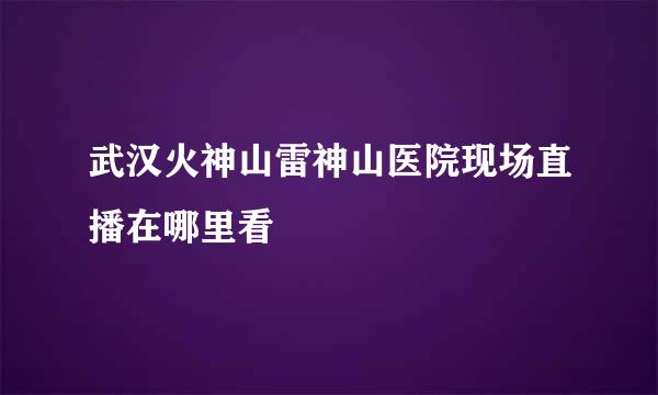 武汉火神山雷神山医院现场直播在哪里看