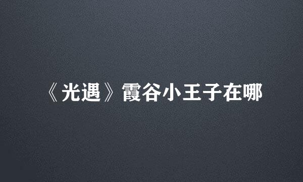 《光遇》霞谷小王子在哪