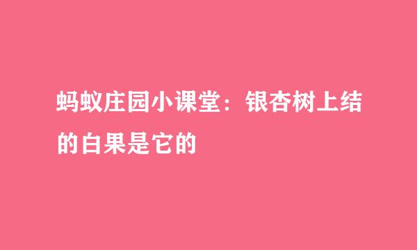 蚂蚁庄园小课堂：银杏树上结的白果是它的