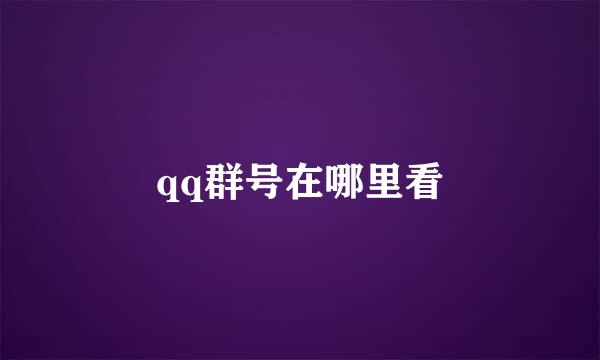 qq群号在哪里看