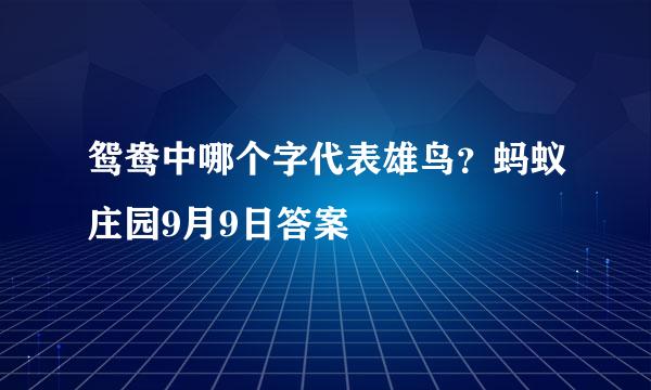 鸳鸯中哪个字代表雄鸟？蚂蚁庄园9月9日答案