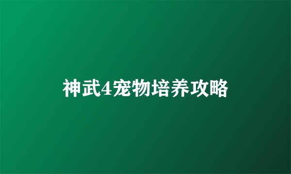 神武4宠物培养攻略