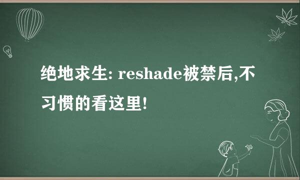 绝地求生: reshade被禁后,不习惯的看这里!