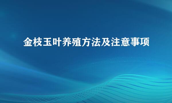 金枝玉叶养殖方法及注意事项