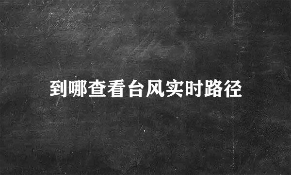 到哪查看台风实时路径