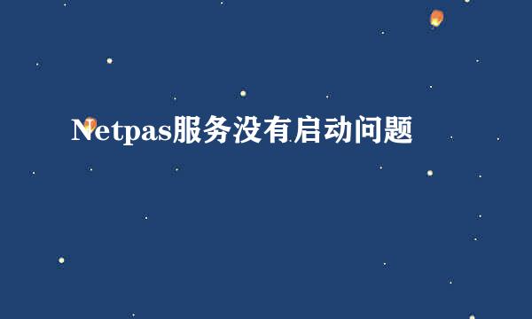 Netpas服务没有启动问题