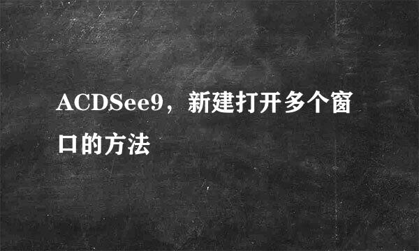 ACDSee9，新建打开多个窗口的方法