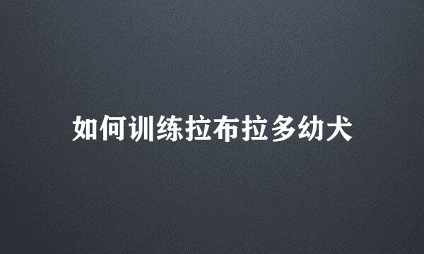 如何训练拉布拉多幼犬