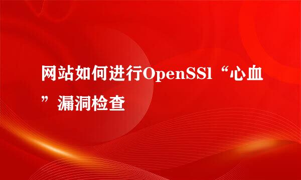 网站如何进行OpenSSl“心血”漏洞检查