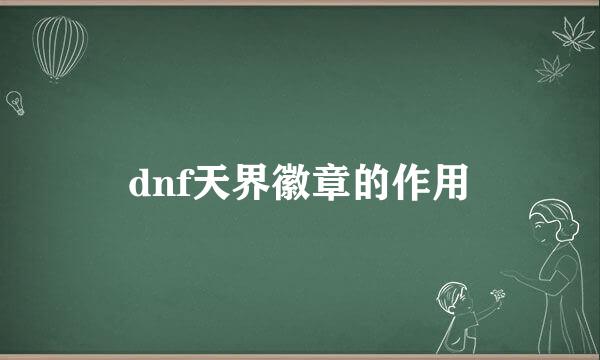 dnf天界徽章的作用