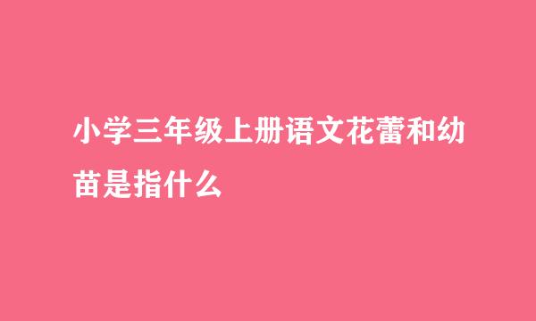 小学三年级上册语文花蕾和幼苗是指什么