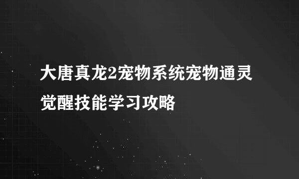 大唐真龙2宠物系统宠物通灵觉醒技能学习攻略