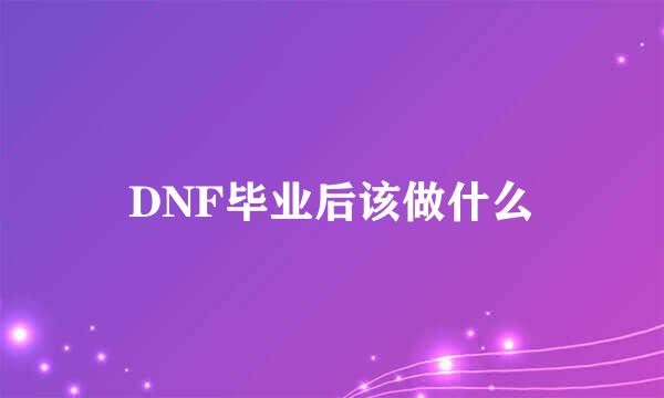 DNF毕业后该做什么