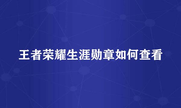 王者荣耀生涯勋章如何查看