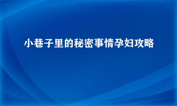 小巷子里的秘密事情孕妇攻略