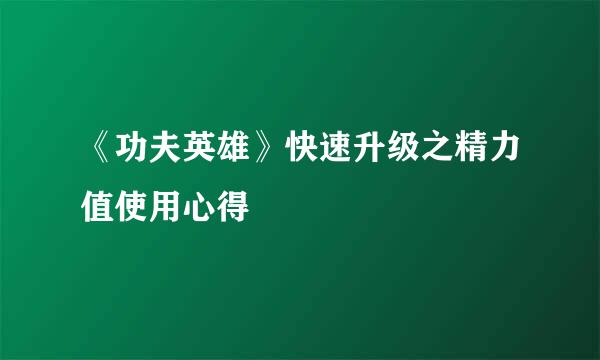 《功夫英雄》快速升级之精力值使用心得