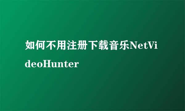 如何不用注册下载音乐NetVideoHunter