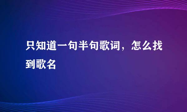 只知道一句半句歌词，怎么找到歌名