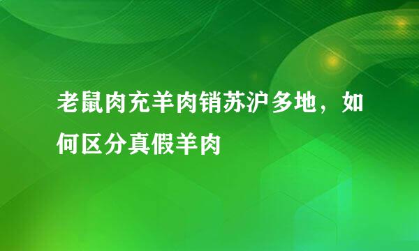 老鼠肉充羊肉销苏沪多地，如何区分真假羊肉