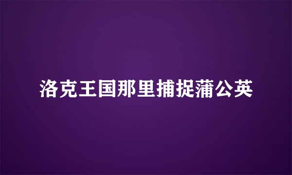 洛克王国那里捕捉蒲公英