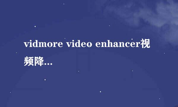 vidmore video enhancer视频降噪怎么设置