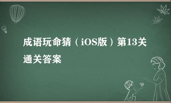 成语玩命猜（iOS版）第13关通关答案