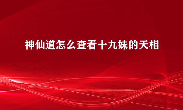 神仙道怎么查看十九妹的天相