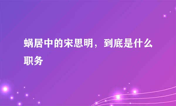 蜗居中的宋思明，到底是什么职务