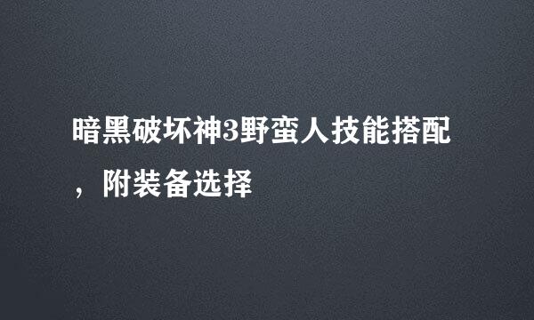 暗黑破坏神3野蛮人技能搭配，附装备选择