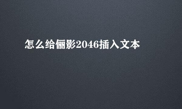 怎么给俪影2046插入文本