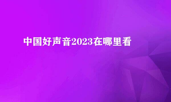 中国好声音2023在哪里看