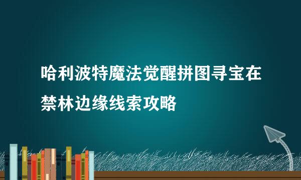 哈利波特魔法觉醒拼图寻宝在禁林边缘线索攻略