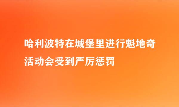 哈利波特在城堡里进行魁地奇活动会受到严厉惩罚