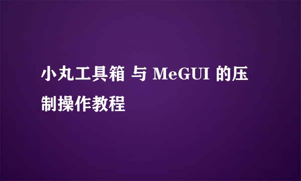 小丸工具箱 与 MeGUI 的压制操作教程