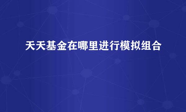 天天基金在哪里进行模拟组合