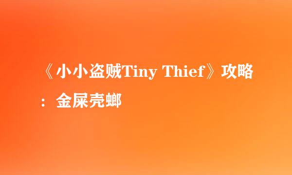 《小小盗贼Tiny Thief》攻略：金屎壳螂