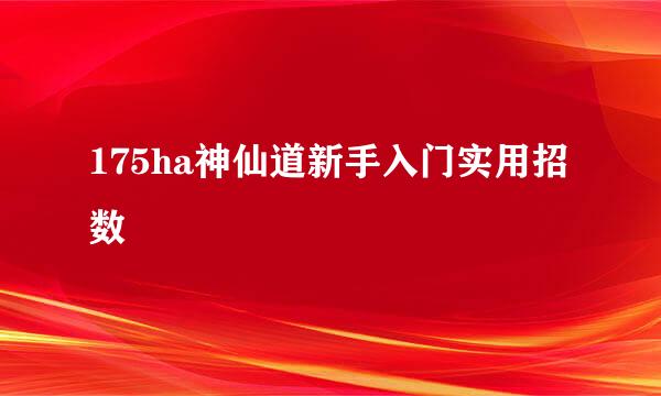 175ha神仙道新手入门实用招数