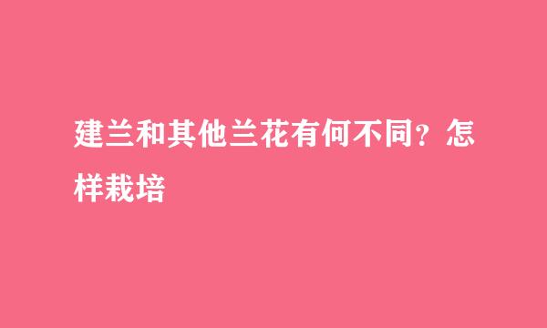 建兰和其他兰花有何不同？怎样栽培