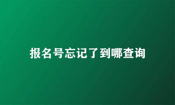 报名号忘记了到哪查询