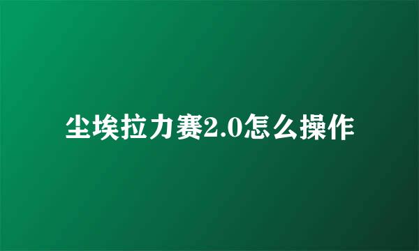 尘埃拉力赛2.0怎么操作