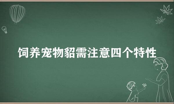 饲养宠物貂需注意四个特性