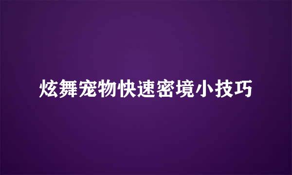 炫舞宠物快速密境小技巧