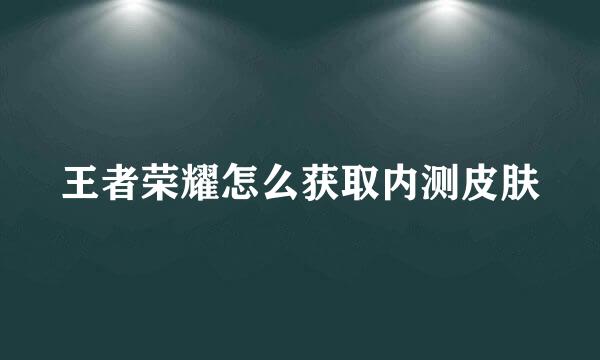 王者荣耀怎么获取内测皮肤