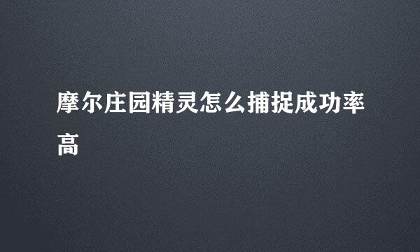 摩尔庄园精灵怎么捕捉成功率高