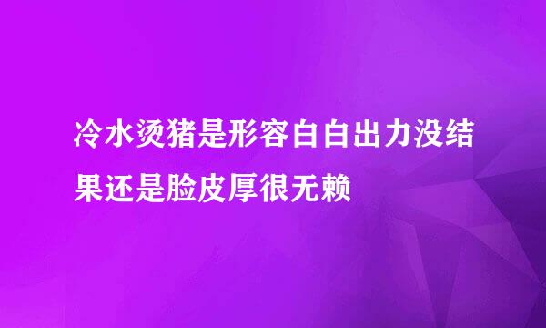 冷水烫猪是形容白白出力没结果还是脸皮厚很无赖