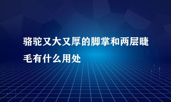 骆驼又大又厚的脚掌和两层睫毛有什么用处